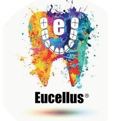 eucellus